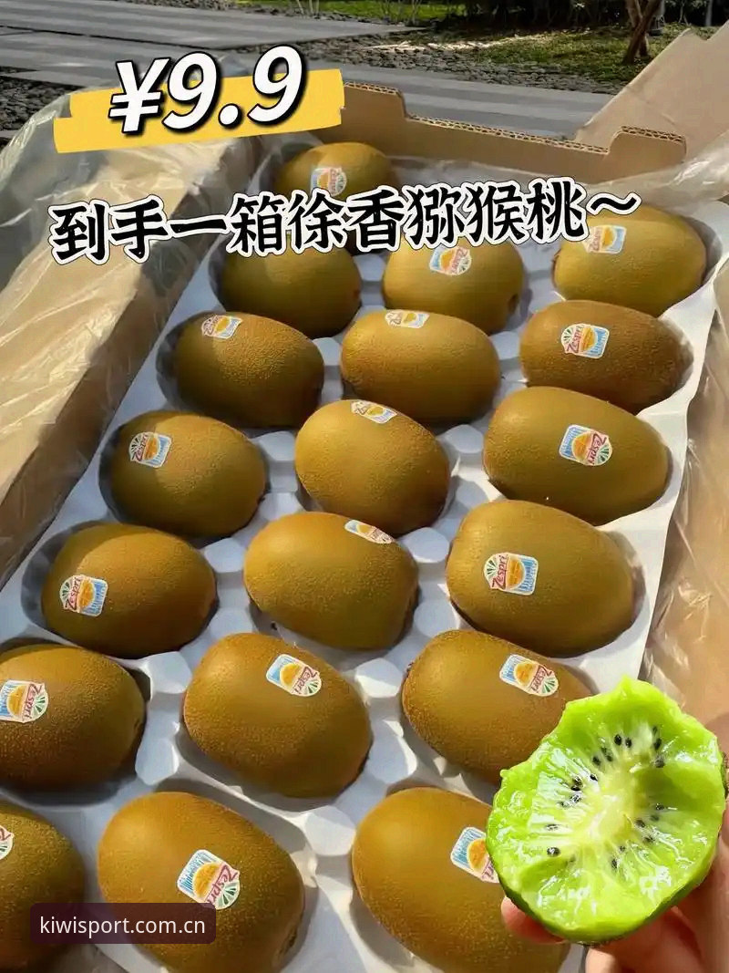 奇异果体育下载地址手机版深度剖析：从安装到实战的完整操作指南